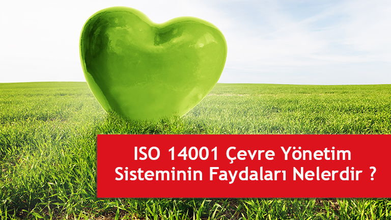 ISO 14001 belgesinin faydaları QRS Beglelendirme Makaleler